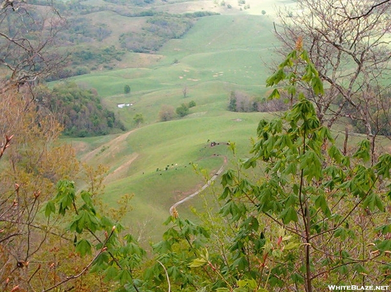 Trail In Va, 2006