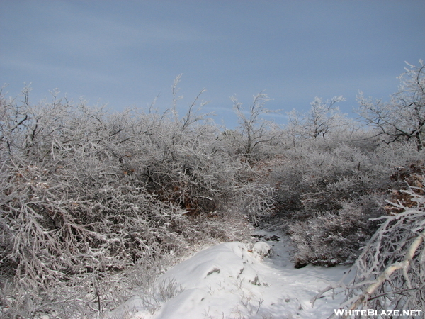 Ice Summit Mt. Everett