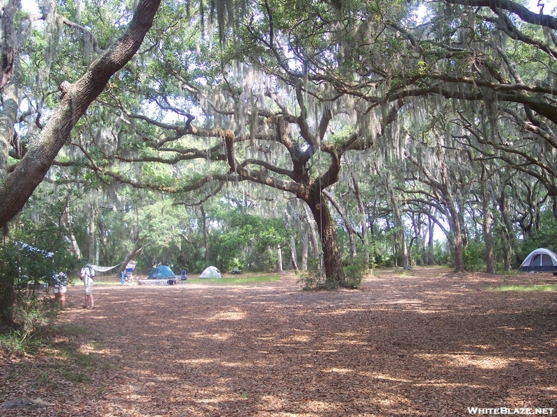 Sapelo Island