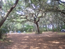 Sapelo Island by minish223 in Other