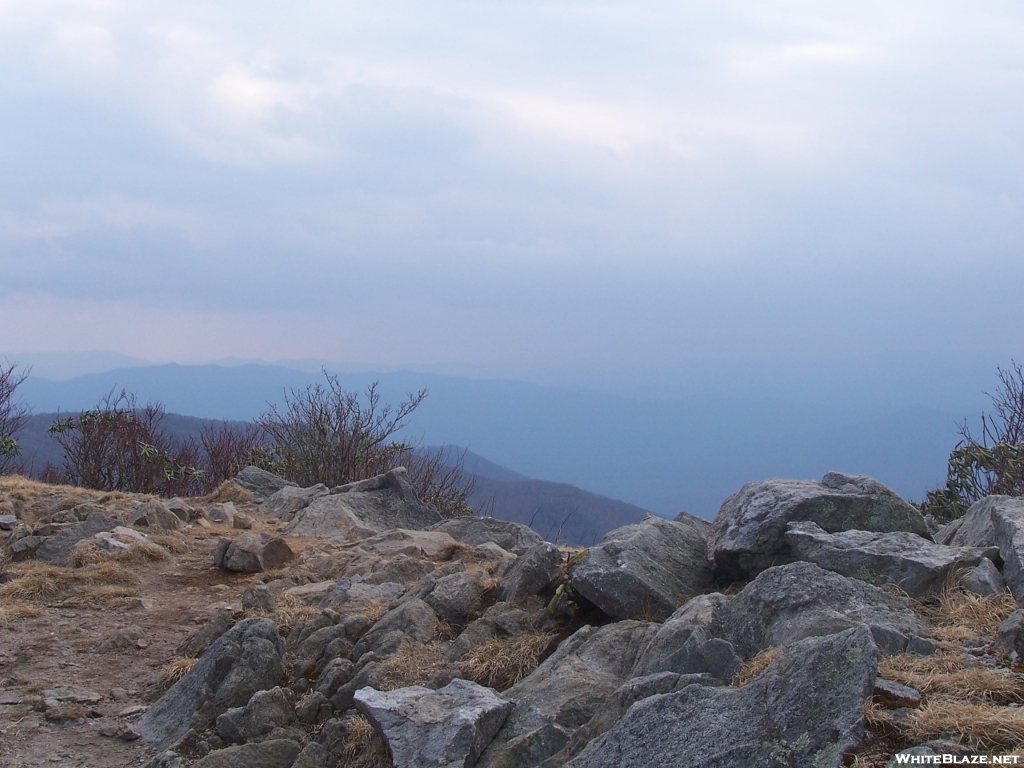 Colonel Chaco in the Smokies