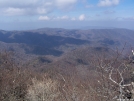 Colonel Chaco in the Smokies