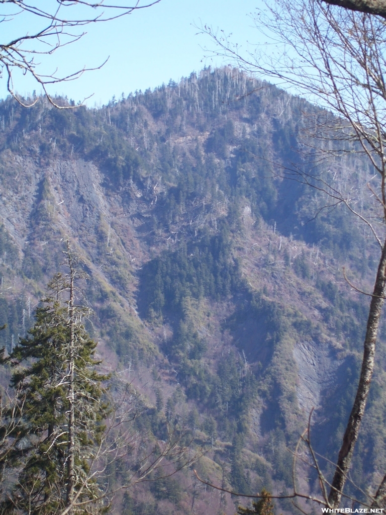 Colonel Chaco in the Smokies