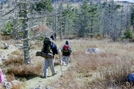 Grayson Highlands Va