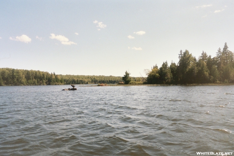 Isle Royale National Park, Michigan