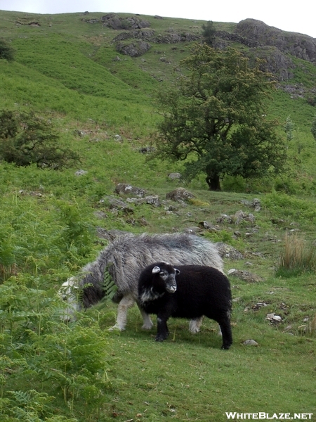 Uk Hellvellyn