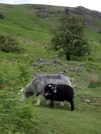 Uk Hellvellyn