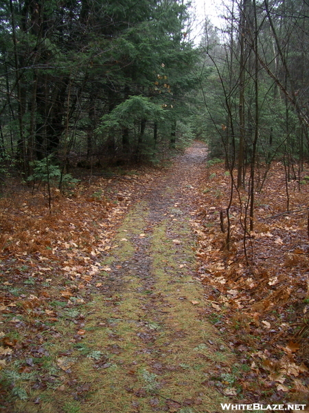 Mass Midstate Trail