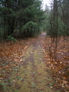 Mass Midstate Trail by Toolshed in Other Trails