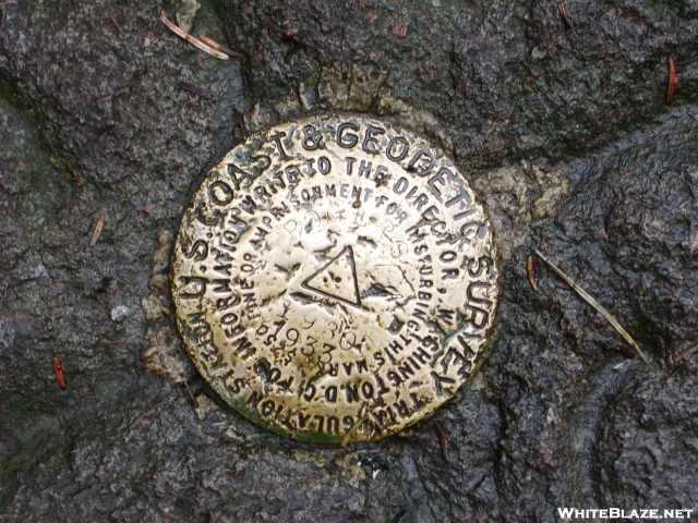 Survey Marker On Top Of Mt. Rogers