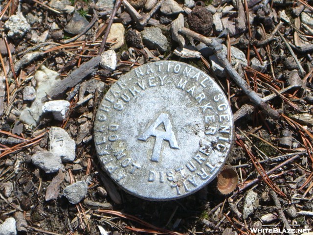 Survey Marker