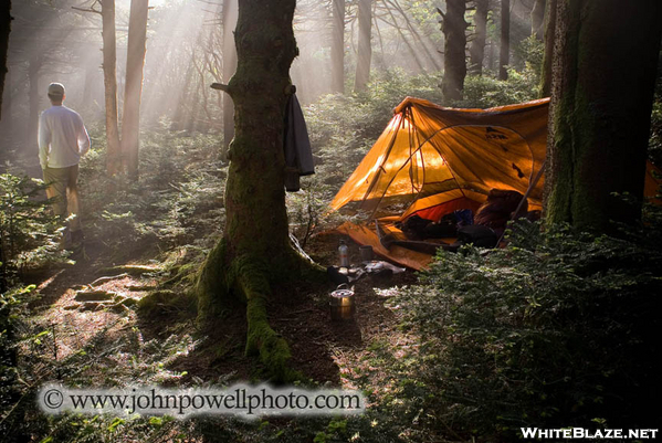 Morning On Roan High Knob