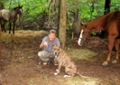 No Horsies Here by RiverWarriorPJ in Trail & Blazes in Virginia & West Virginia