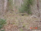 goodrich rock near greeley ponds by nitewalker in Views in New Hampshire