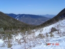 the ravines of mt washington