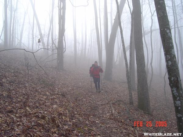 2005 AT hike w/frenchie and hoppy