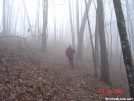 2005 AT hike w/frenchie and hoppy by nitewalker in Views in North Carolina & Tennessee