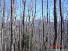 2005 AT hike w/ frenchie and hoppy by nitewalker in Views in North Carolina & Tennessee