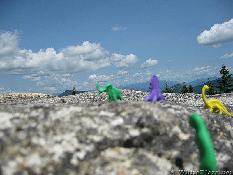 mountain dinosaurs