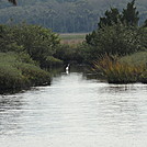 tomoka basin area florida