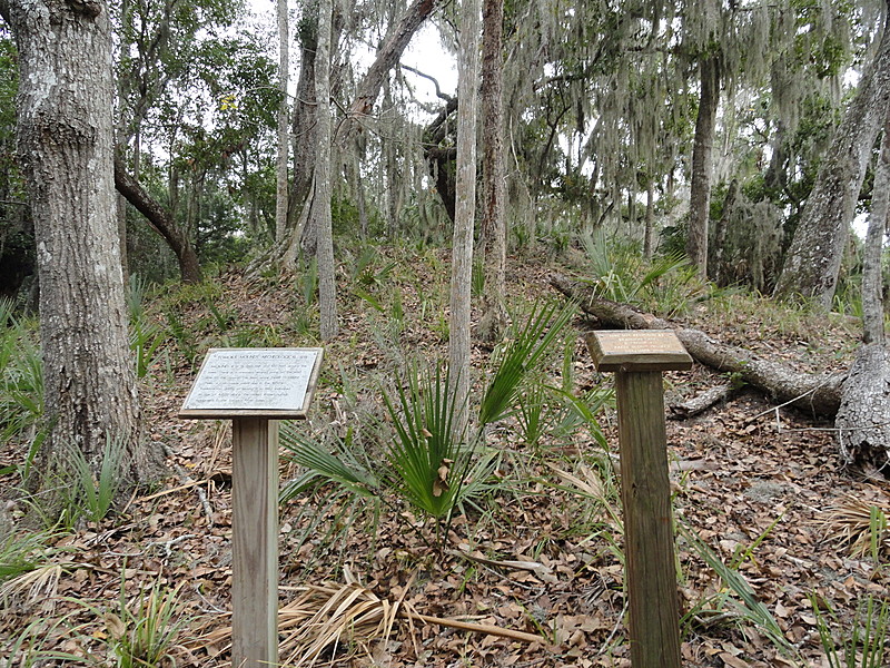 tomoka basin area florida