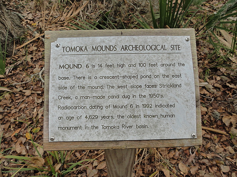 tomoka basin area florida