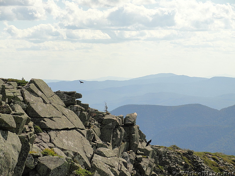 bondcliff trail hike aug 2012