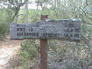 Florida Trail March 2008