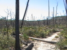 Florida Trail 2008