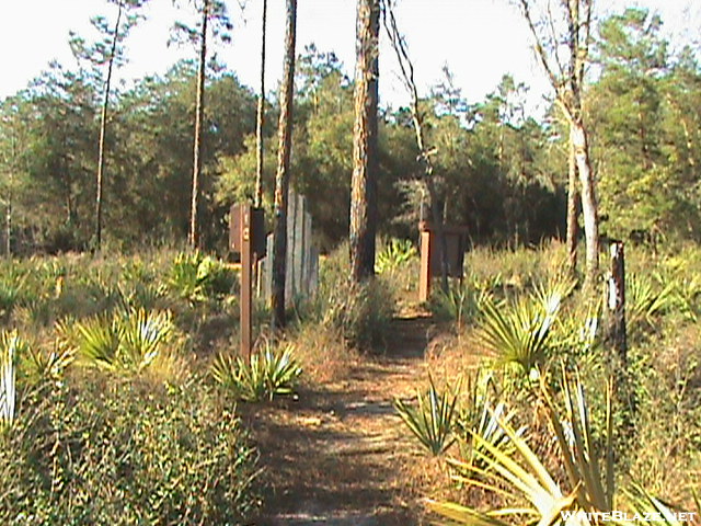 Florida Trail Feb 2008