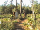 Florida Trail Feb 2008