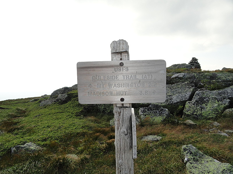 presidential range july 2011