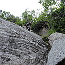 presidential range july 2011