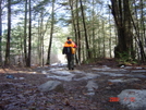 Proposed New England Trail[north South Tr Ri] by nitewalker in Other Trails