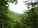 Davis Path In The Whites Of N.h. 7/08