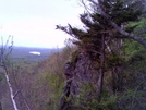 Holt's Ledge Falcon Nesting Area