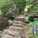 AT / Long Trail section hike by 4eyedbuzzard in Trail & Blazes in Vermont