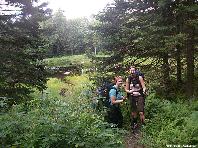 AT / Long Trail section hike