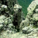 Can you see the monster climbing the Mt. by quicktoez in Views in New Hampshire