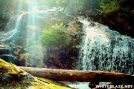 Great Gulf Wilderness White Mt. NH by quicktoez in Views in New Hampshire