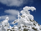 More snow trees by tmnobo07 in Views in New Hampshire