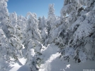 Gorge Brook Trail by tmnobo07 in Views in New Hampshire