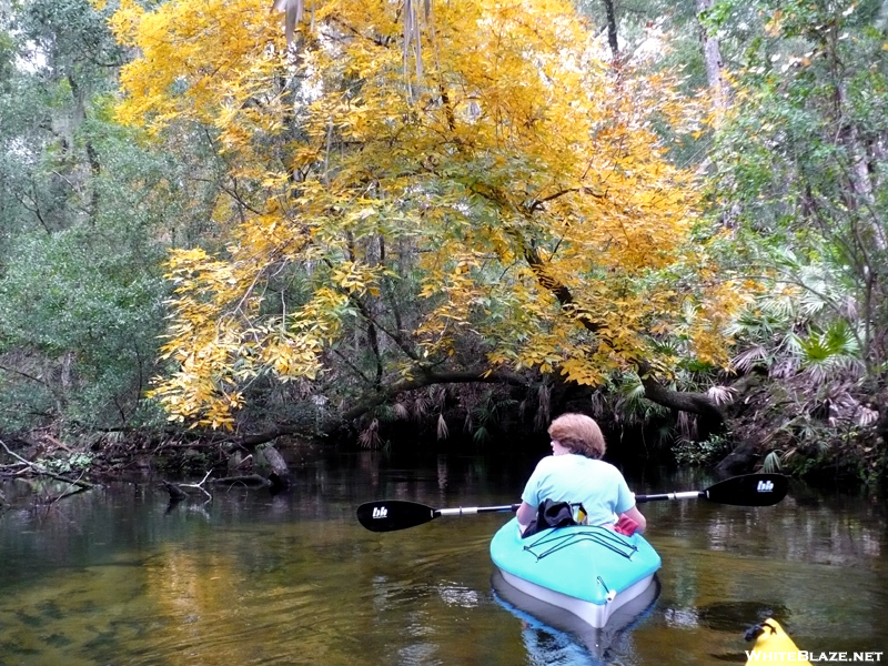 Fall Paddle On Juniper Run