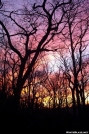 Sunset from the shelter by midnight_recon in North Carolina & Tennessee Shelters