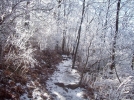 The approach trail in February