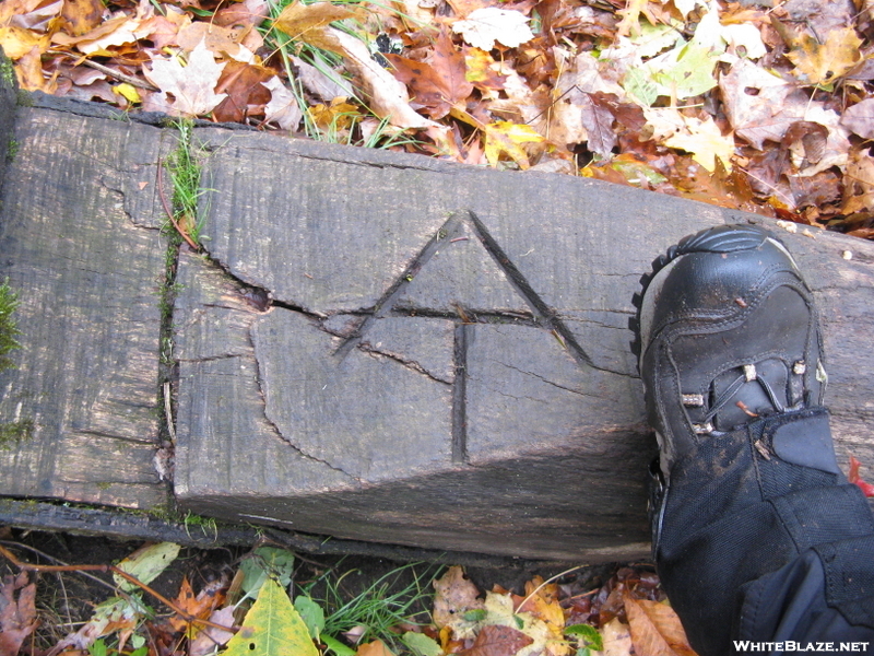 At Carved Into The Log On The Trail Going Up Bluff Mt