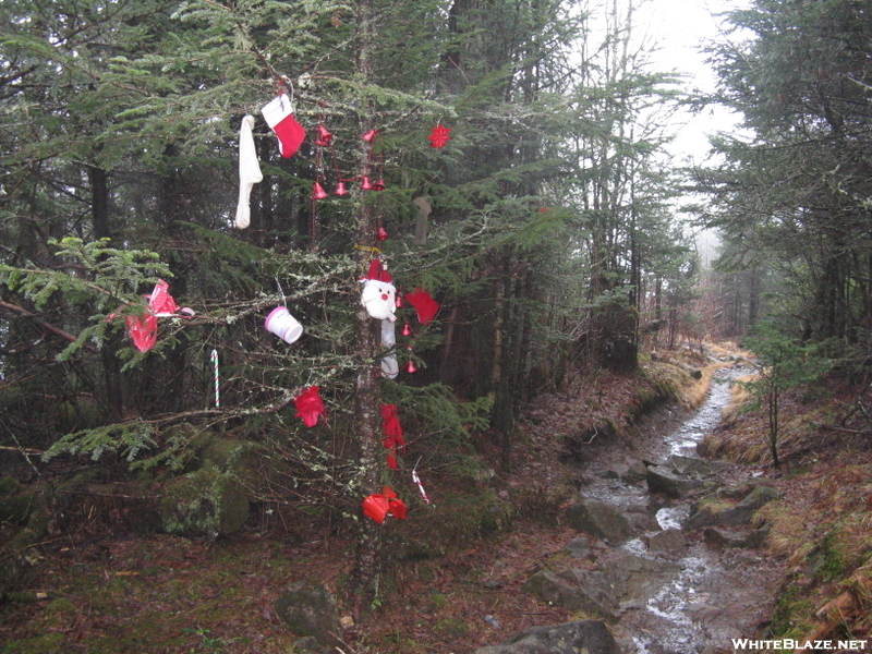 Applachian Trail Skakedown Hike..gsmnp  12/2008