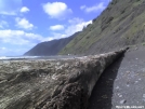 Lost Coast Trail