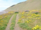 Lost Coast Trail by Bohican in Other Trails