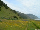 Lost Coast Trail by Bohican in Other Trails